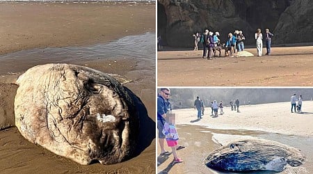 Strange alien-like fish washes up on Oregon beach, creates 'quite a stir'