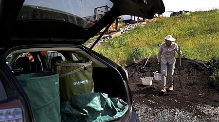 Food composting in Massachusetts: we can do better