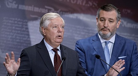 Cruz and Graham emerge as GOP boogeymen in Maryland Senate fight