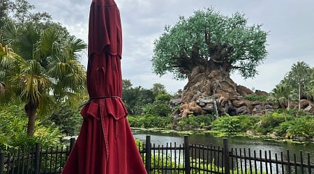 Walt Disney World Prepares for Hurricane Helene