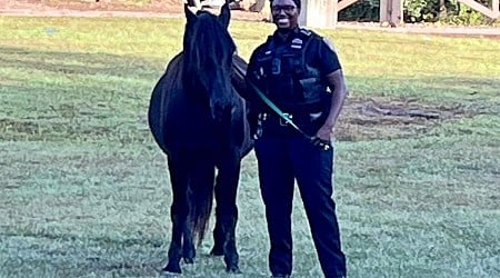 Five horses escape from Missouri Renaissance festival