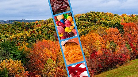 10 Must-Have Snacks for Fall Color Road Tripping Across Minnesota