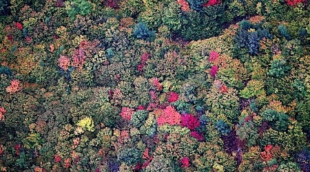 Massachusetts races ahead of New Hampshire in fall foliage display