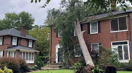 Fallen trees leave Columbia scrambling to clear roads, homes in aftermath of hurricane