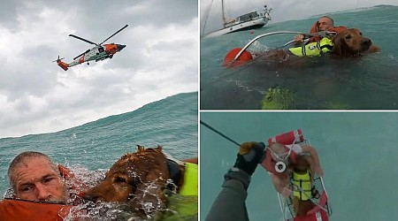 Florida sailor, Earl Barcome, and dog rescued by US Coast Guard from sailboat he was living on