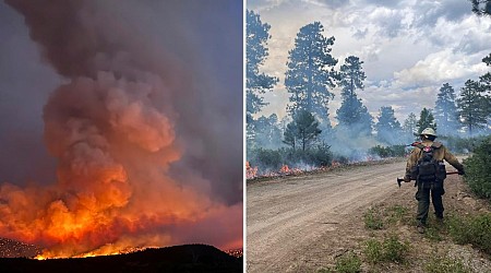 Colorado wildfire in August sparked by man's attempt to cremate his dog, authorities say