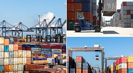 Longshoremen union's demand for total ban on automation questioned as port strike looms: 'From Maine to Texas'