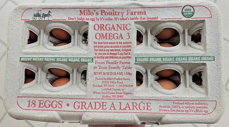 A salmonella outbreak linked to recalled eggs sickens people in 9 states