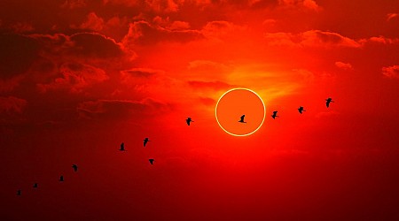 1 week until annular solar eclipse turns the sun into a dramatic 'ring of fire'