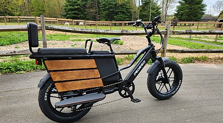 Pedego Cargo e-bike review: your passengers will love it