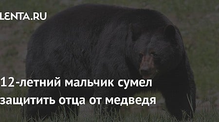 12-летний мальчик сумел защитить отца от медведя