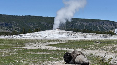 A woman sustains leg burns after straying from Yellowstone trail