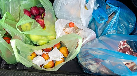 California Governor Signs Law Banning All Plastic Shopping Bags at Grocery Stores