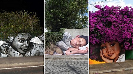 37 Stunning Street Art Pieces That Perfectly Blend with Nature