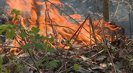 Wisconsin to experience increased fire danger this week