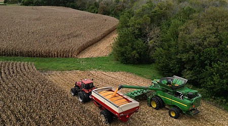 Outdated farm bill jeopardizes environment, leaves farmers behind