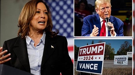 Kamala Harris is 'underwater' in Michigan, Dem rep claims