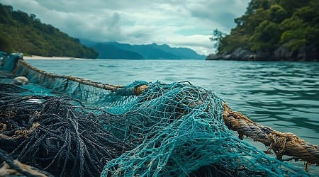 Pêche illégale : un rapport dénonce le massacre de plusieurs espèces marines en Guyane