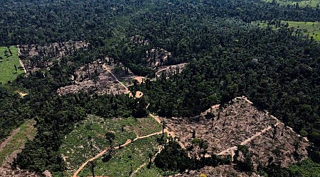 Déforestation, incendies… Pourquoi la « transformation » de l’Amazonie menace la planète