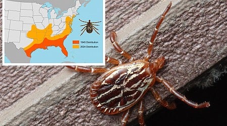 Connecticut reports first human case of tick-borne disease in the Northeast