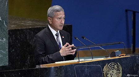 Singapore calls for UN Security Council's use of vetoes to be 'constrained'