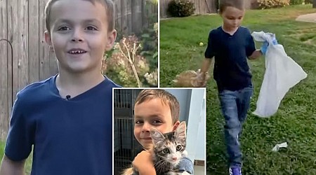 Rhode Island boy, 6, starts own poop-scooping business to pay for cat adoption