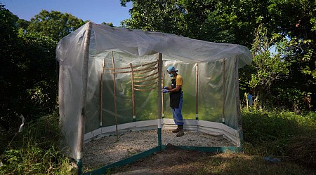 A Cuba, « on recherche de la nourriture tous les jours et maintenant de l’eau »