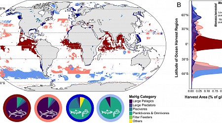 Tropical and subtropical industrial fisheries account for about 70% of methylmercury fished from the ocean: Study