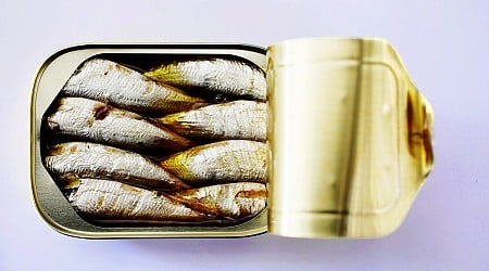 I Tried the Viral Sardine Fast. I Was Not Prepared for What It Did to My Body.