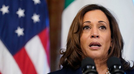 New Hampshire Business Owners Rip Kamala Harris Before Her Visit to Tout Kamalanomics