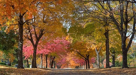 When will the leaves change colors in Kansas City?