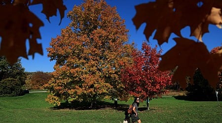 The best spots in Illinois for leaf-peeping