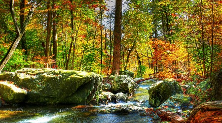 Special Viewfinders at Virginia State Parks Let Colorblind Guests See Fall Foliage