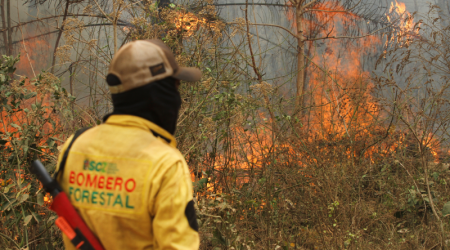 Bolivia declara "desastre nacional" por incendios forestales