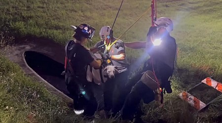 Florida firefighter lowered into cave to rescue dog