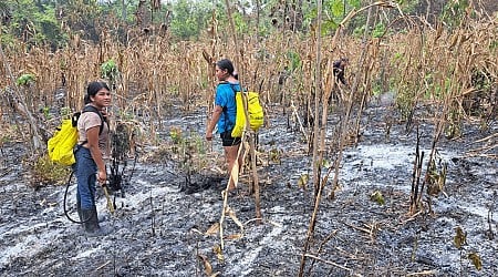 How climate change is undermining Indigenous knowledge and livelihoods in Central America