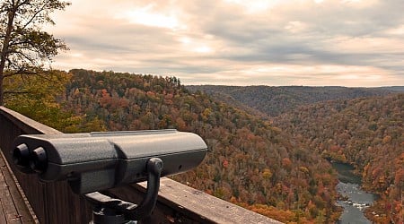 'Senseless Vandalism' Destroys Viewfinder for Colorblind at Big South Fork