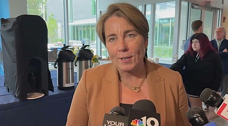 Healey makes move to block efforts to suspend Mass. gun reform law for 2 years