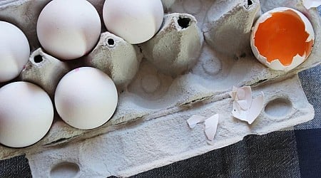 Students drop egg from 83 feet to break world record