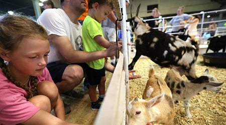 7 must-see attractions for families at the 2024 State Fair of Texas