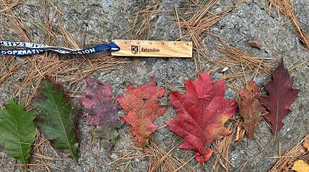 Color, color everywhere—mother nature shares a mosaic of bright colors this fall in New England