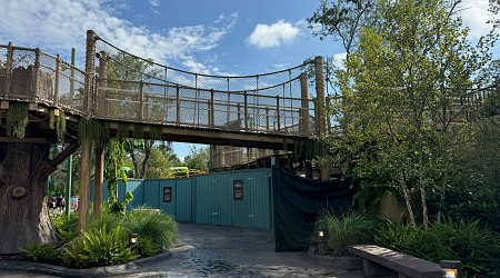 Shrek's Swamp for Little Ogres Playground Closed at Universal Studios Florida