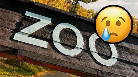 Heartbreaking News From Popular Zollman Zoo in Minnesota