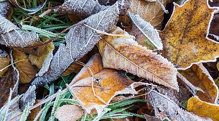 Frost Advisory in Central Minnesota Friday Morning