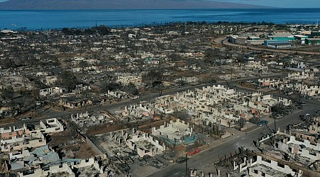 A downed power line is officially blamed for last year’s Maui wildfire