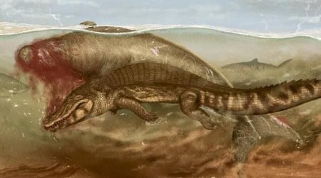 Fossilized Food Chain: Prehistoric Sea Cow Caught Between Crocodile And Shark