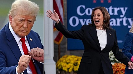 Battleground voters back ‘experienced’ Donald Trump over ‘establishment’ Kamala Harris in seven-state poll