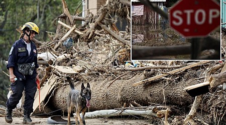 Scammers target Hurricane Helene victims in North Carolina