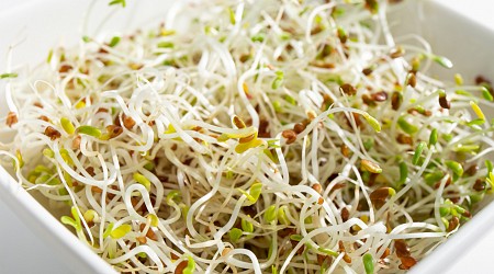 Sprouts Recall Issued Over Fear of Listeria Contamination