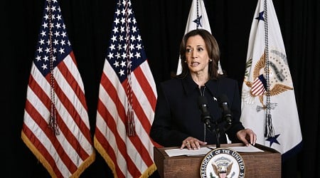 Kamala Harris' Lead Has Been Cut in Nearly Every Battleground State